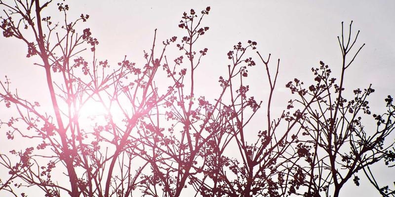 从增嘎女孩看时尚、健康与心灵的平衡:一个现代女性的成长启示录