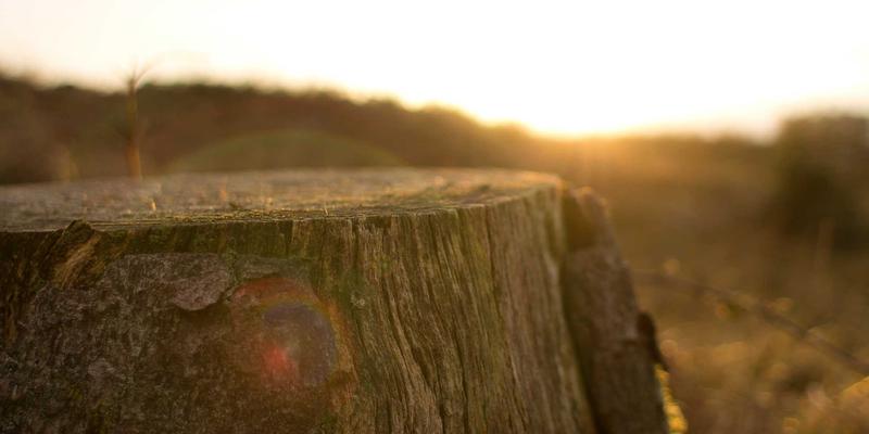 增嘎女孩11：在高原阳光下，重新定义女性生活方式与自然护肤哲学