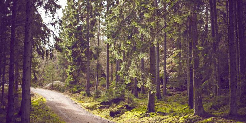 增嘎女孩51：当健康生活成为最时尚的资讯