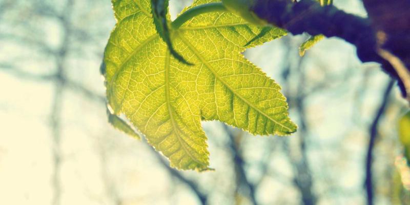 增嘎女孩78:解码新生代女性时尚与生活态度的融合密码