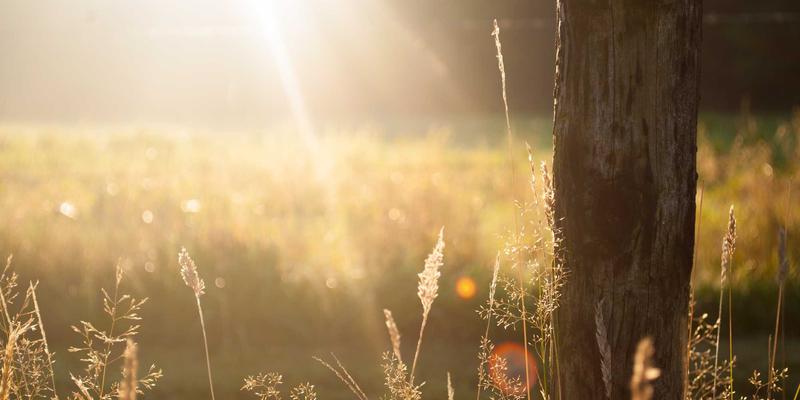 增嘎女孩92：解码健康生活、美容护肤与时尚资讯的平衡艺术