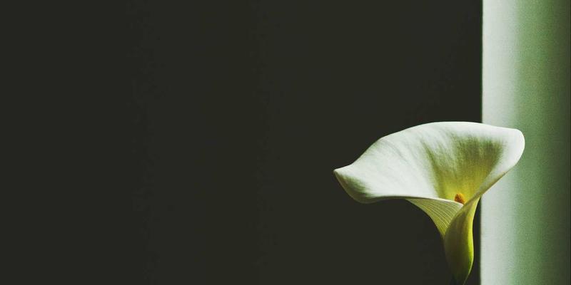 增嘎女孩95：在心灵成长与健康生活中，找到属于自己的时尚态度