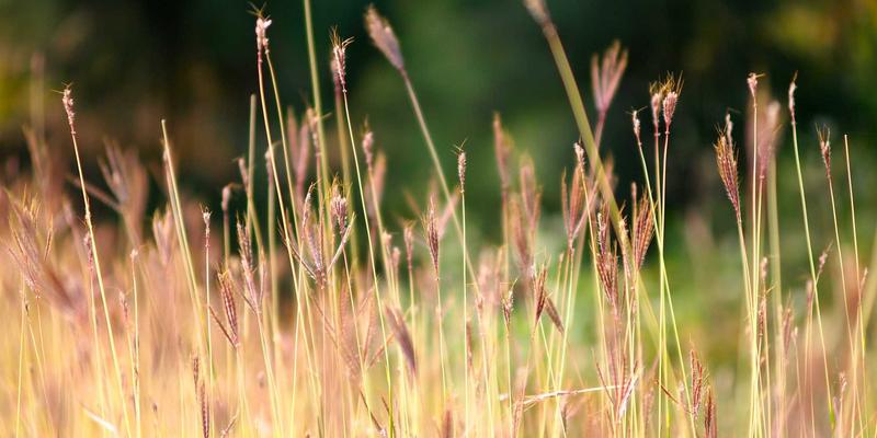 增嘎女孩的心灵护肤哲学：高原水文化中的成长与美容智慧