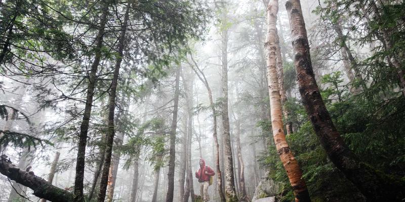 增嘎女孩的智慧生活指南：健康与美容的完美平衡之道