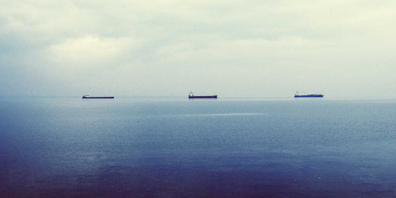 增嘎女孩的生态智慧：高原植物护肤中的日式禅意与简约时尚