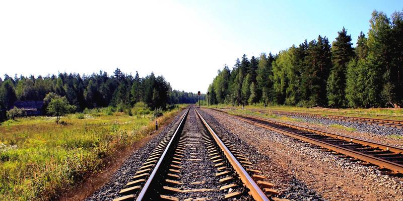 增嘎女孩的自然守护者角色：高原生态智慧与简约时尚的日式禅意生活实践