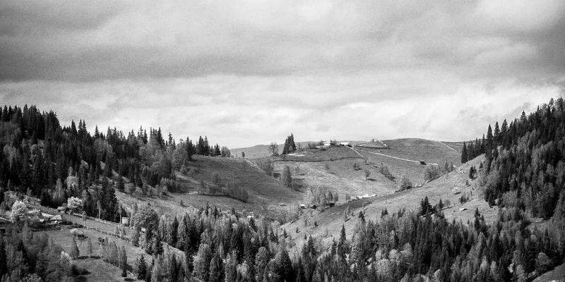 增嘎女孩的藏文书法与冥想：融合日式禅意的笔墨艺术，打造专注生活新时尚