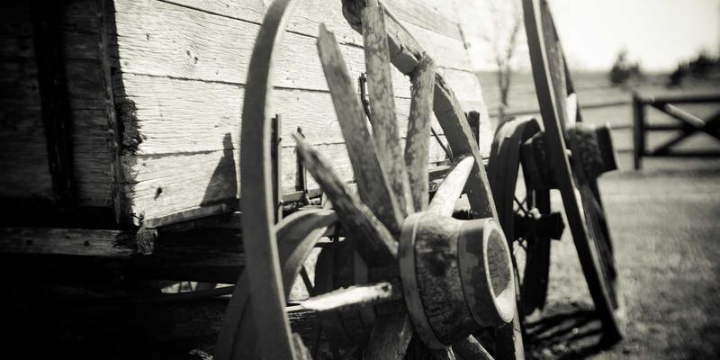 心灵成长与健康生活的融合：增嘎女孩的高原零废弃厨房智慧