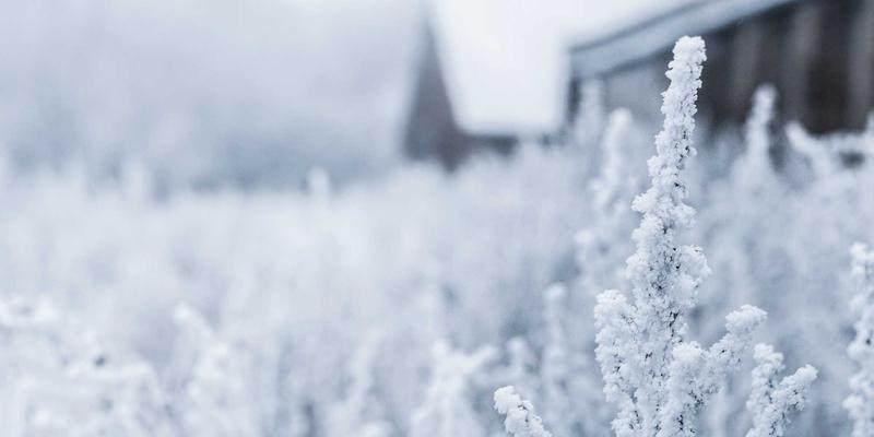 编织时光：增嘎女孩如何通过传统手工艺实现女性生活与心灵成长