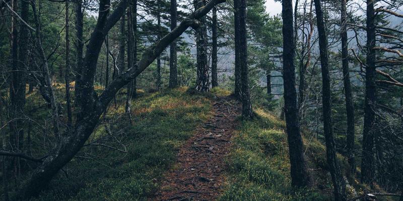 高原冥想空间营造：增嘎女孩融合自然与禅意的家居设计指南