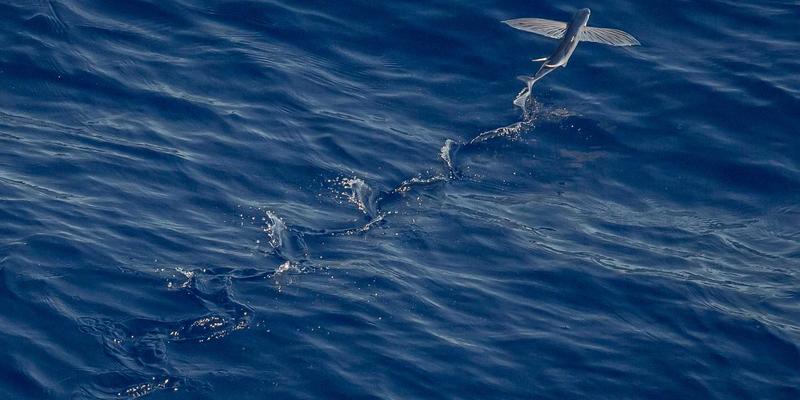 高原护肤新哲学：增嘎女孩在干旱环境中的节水智慧与时尚生活实践