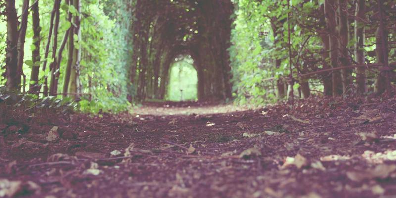 高原镜头下的简约时尚：增嘎女孩如何用摄影诠释游牧文化与女性力量